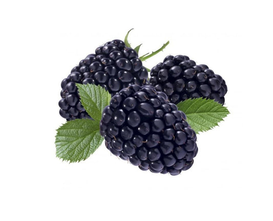 ZIELENIAK Jezyna 250 g. 71,96 zl/kg